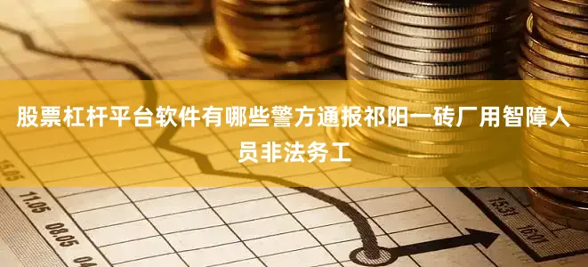 股票杠杆平台软件有哪些警方通报祁阳一砖厂用智障人员非法务工